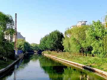 北京丰台最新招聘动态与湖北肺炎实时数据播报解读