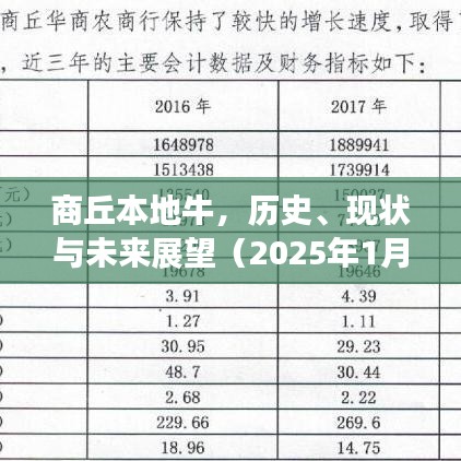 商丘牛业，历史传承、现状解析与未来展望