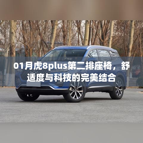 01月虎8plus第二排座椅，舒适度与科技的融合体验