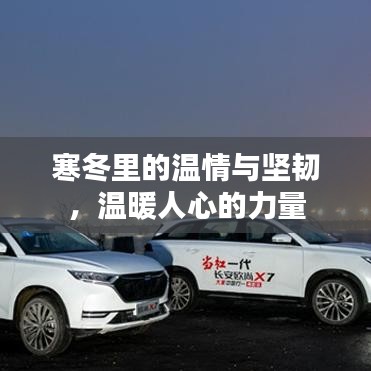 寒冬里的温情与坚韧，温暖人心的力量