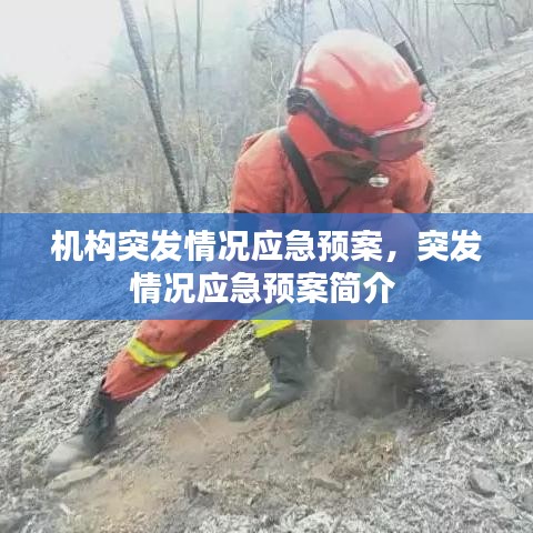 机构突发情况应急预案，突发情况应急预案简介 