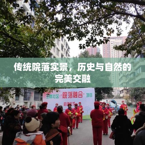 传统院落实景，历史与自然的完美交融