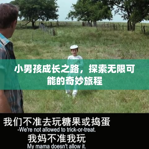 小男孩成长之路，探索无限可能的奇妙旅程