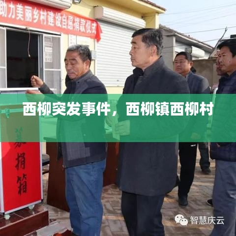 西柳突发事件，西柳镇西柳村 