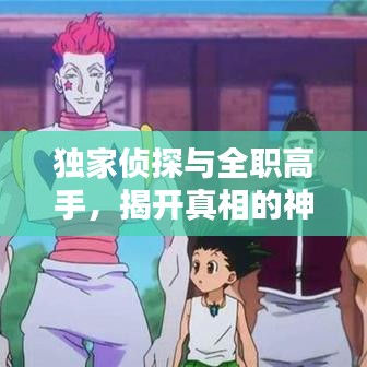 独家侦探与全职高手，揭开真相的神秘面纱