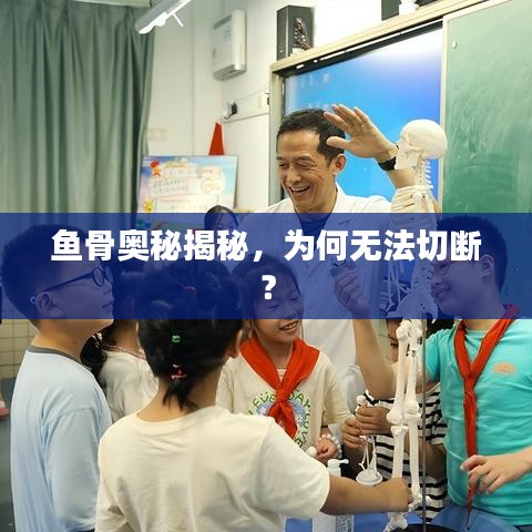 鱼骨奥秘揭秘，为何无法切断？