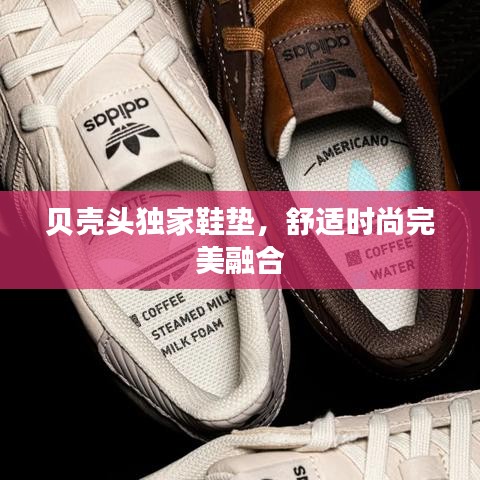 贝壳头独家鞋垫，舒适时尚完美融合