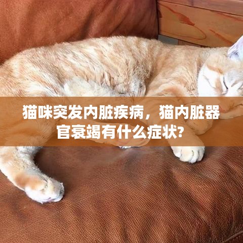 台球房用品 第80页