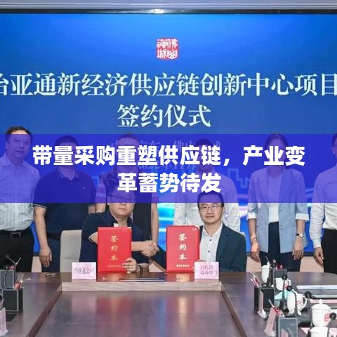 带量采购重塑供应链，产业变革蓄势待发