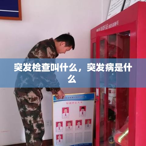 突发检查叫什么，突发病是什么 