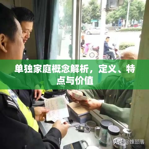 单独家庭概念解析，定义、特点与价值