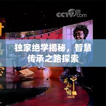 独家绝学揭秘，智慧传承之路探索