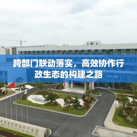 跨部门联动落实，高效协作行政生态的构建之路