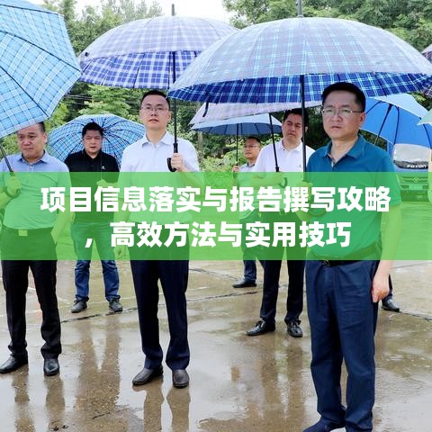 项目信息落实与报告撰写攻略，高效方法与实用技巧