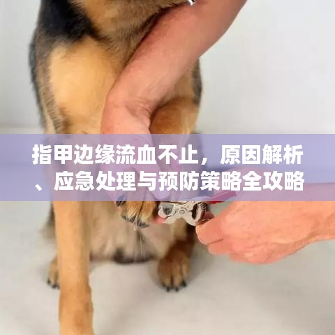 合作案例 第96页
