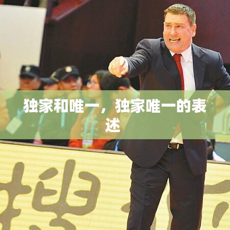 独家和唯一，独家唯一的表述 