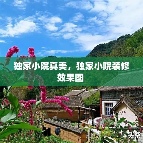 独家小院真美，独家小院装修效果图 