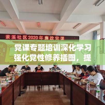 党课专题培训深化学习强化党性修养插图，提升党员素质新境界