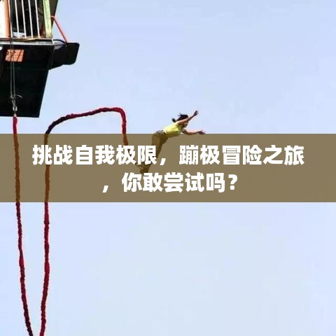 挑战自我极限，蹦极冒险之旅，你敢尝试吗？