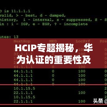 HCIP专题揭秘，华为认证的重要性及应用领域深度解析