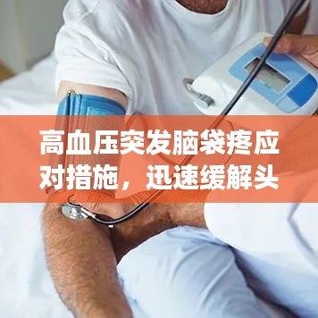 资质荣誉 第81页