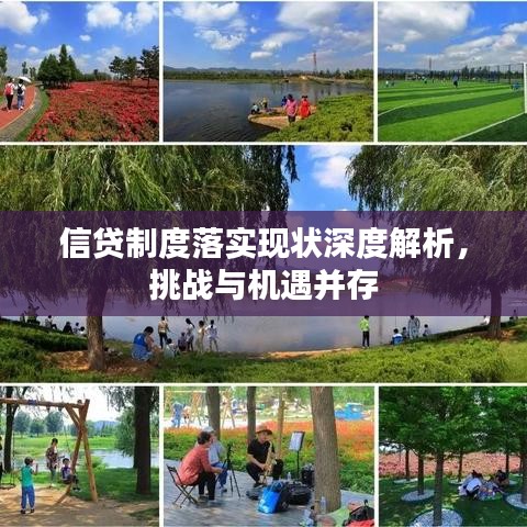 信贷制度落实现状深度解析，挑战与机遇并存