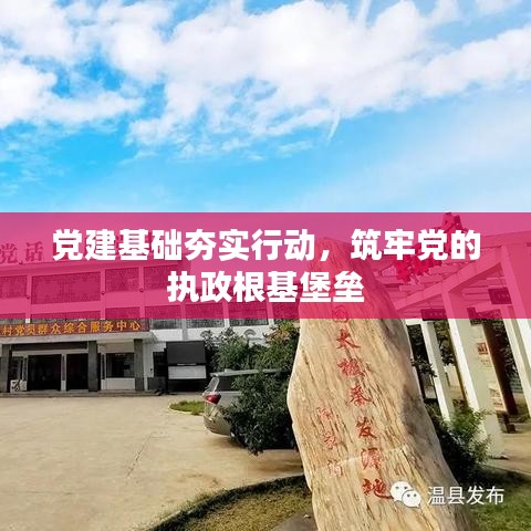 党建基础夯实行动，筑牢党的执政根基堡垒