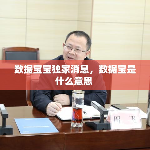 数据宝宝独家消息，数据宝是什么意思 
