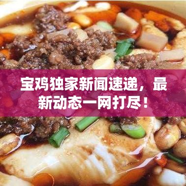 宝鸡独家新闻速递，最新动态一网打尽！