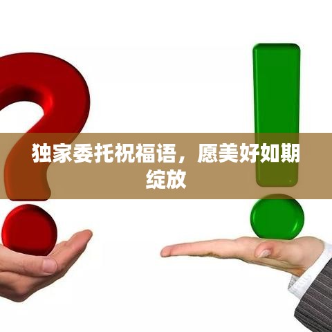 台球房用品 第77页