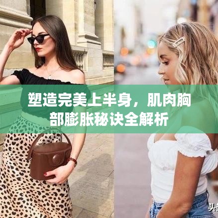 塑造完美上半身，肌肉胸部膨胀秘诀全解析
