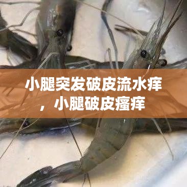 新闻中心 第84页