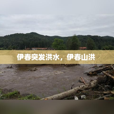 伊春突发洪水，伊春山洪 