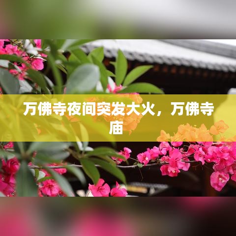 万佛寺夜间突发大火，万佛寺庙 