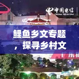 鲤鱼乡文专题，探寻乡村文化魅力，传统与现代交融之旅