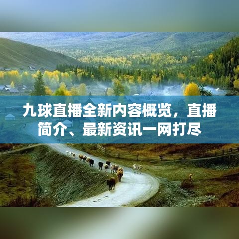九球直播全新内容概览，直播简介、最新资讯一网打尽