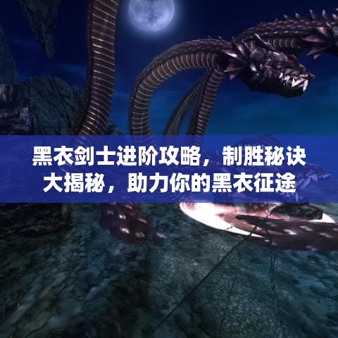 黑衣剑士进阶攻略，制胜秘诀大揭秘，助力你的黑衣征途