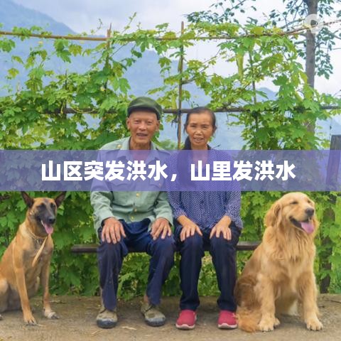 山区突发洪水，山里发洪水 