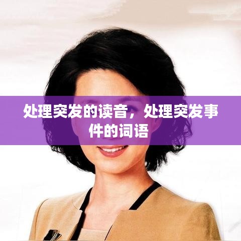 处理突发的读音，处理突发事件的词语 