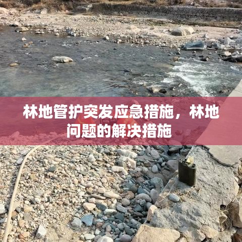 林地管护突发应急措施，林地问题的解决措施 