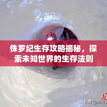 侏罗纪生存攻略揭秘，探索未知世界的生存法则！