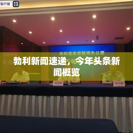 勃利新闻速递，今年头条新闻概览