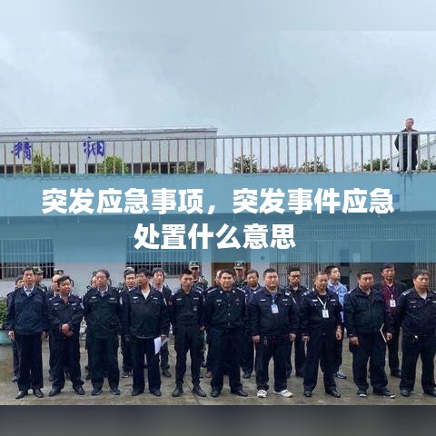 资质荣誉 第78页