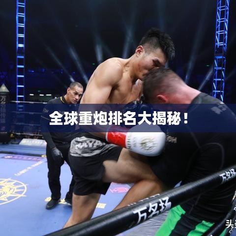 全球重炮排名大揭秘！