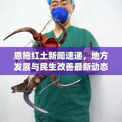 恩施红土新闻速递，地方发展与民生改善最新动态报道