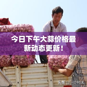 今日下午大蒜价格最新动态更新！