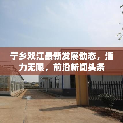 宁乡双江最新发展动态，活力无限，前沿新闻头条