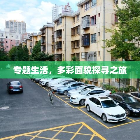 专题生活，多彩面貌探寻之旅