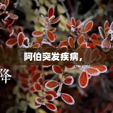 阿伯突发疾病， 