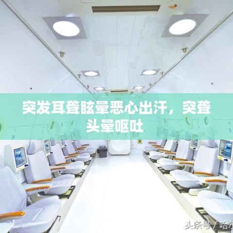 突发耳聋眩晕恶心出汗，突聋头晕呕吐 